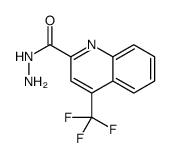 4-(trifluoromethyl)quinoline-2-carbohydrazide Structure