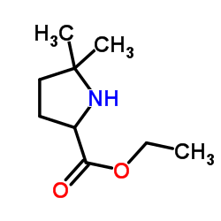 ethyl 5,5-dimethylpyrrolidine-2-carboxylate Structure