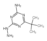 2-氨基-4-叔丁基-6-肼基-S-三嗪结构式