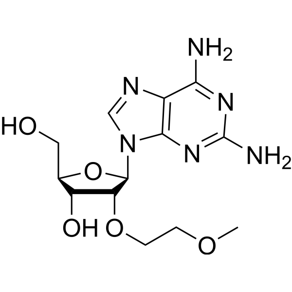 2-氨基-2-o-(2-甲氧基乙基)腺苷酸结构式