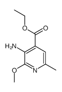 3-Amino-2-methoxy-6-methyl-4-pyridinecarboxylicacidethylester Structure