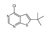 6-叔丁基-4-氯-噻吩[2,3-D]嘧啶结构式
