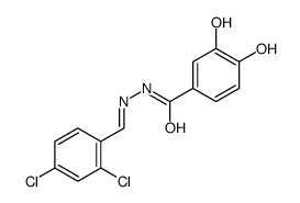 N-[(E)-(2,4-dichlorophenyl)methylideneamino]-3,4-dihydroxybenzamide结构式