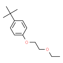 1-tert-Butyl-4-(2-ethoxyethoxy)benzene结构式