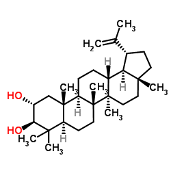 2ALPHA-羟基羽扇豆醇图片