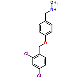 1-{4-[(2,4-Dichlorobenzyl)oxy]phenyl}-N-methylmethanamine Structure