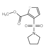 3-(吡咯烷-1-基磺酰基)噻吩-2-羧酸甲酯结构式