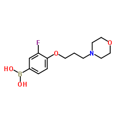 3-氟-4-(3-吗啉代丙氧基)苯基硼酸结构式