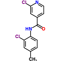 2-chloro-N-(2-chloro-4-methylphenyl)pyridine-4-carboxamide structure