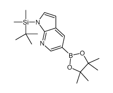 1-(叔丁基二甲基甲硅烷基)-5-(4,4,5,5-四甲基-1,3,2-二噁硼烷-2-基)-1H-吡咯并[2,3-B]吡啶结构式