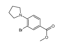 methyl 3-bromo-4-pyrrolidin-1-ylbenzoate Structure