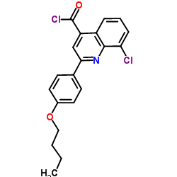 2-(4-Butoxyphenyl)-8-chloro-4-quinolinecarbonyl chloride结构式