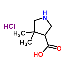 4,4-二甲基吡咯烷-3-羧酸盐酸盐结构式