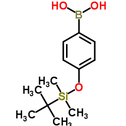 4-(叔丁基二甲硅氧基)苯硼酸图片