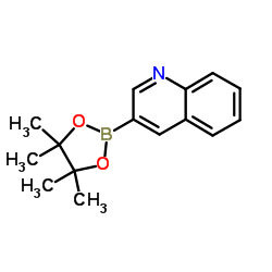 Quinoline-3-boronic acid pinacol ester Structure