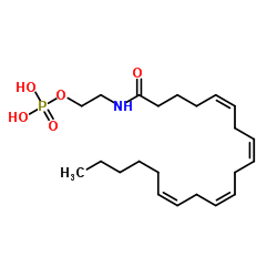 Arachidonoyl Ethanolamide Phosphate图片