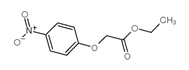 Acetic acid,2-(4-nitrophenoxy)-, ethyl ester Structure