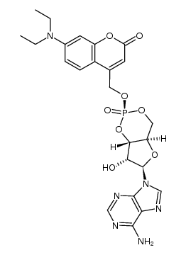 axial-[7-(diethylamino)coumarin-4-yl]methyl adenosine cyclic 3',5'-monophosphate Structure