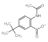 N-(4-叔丁基-2-硝基苯基)乙酰胺结构式