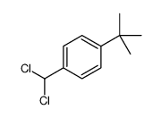 1-tert-butyl-4-(dichloromethyl)benzene Structure