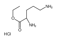 (S)-ETHYL 2,5-DIAMINOPENTANOATE HYDROCHLORIDE structure