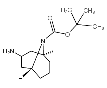 内向-3-氨基-N-Boc-9-氮杂双环[3.3.1]壬烷结构式