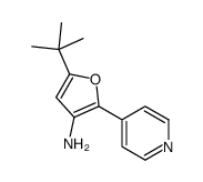 5-叔丁基-2-(吡啶-4-基)呋喃-3-胺结构式