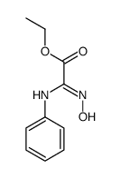 ethyl 2-(hydroxyamino)-2-phenyliminoacetate Structure