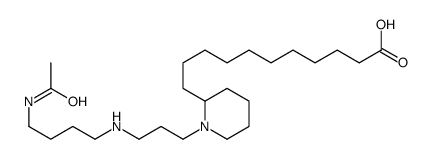 11-[1-[3-(4-acetamidobutylamino)propyl]piperidin-2-yl]undecanoic acid Structure