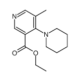 ethyl 5-methyl-4-piperidin-1-ylpyridine-3-carboxylate结构式