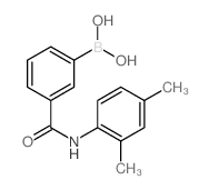 3-硼-N-(2,4-二甲基苯基)苯甲酰胺结构式
