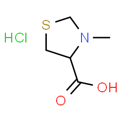 3-甲基噻唑烷-4-羧酸盐酸盐结构式