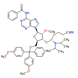 2'-OMe-Ac-C 亚磷酰胺单体结构式