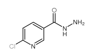 6-氯吡啶-3-甲酰肼结构式