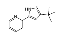 2-(5-tert-butyl-1H-pyrazol-3-yl)pyridine结构式