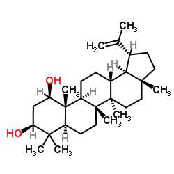 3-epi-glochidiol Structure