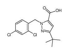 3-叔丁基-1-(2,4-二氯苄基)-1H-吡唑-5-羧酸结构式