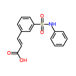 3-(3-苯氨基磺酰苯)丙烯酸结构式