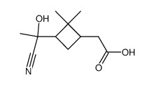 [3-(1-cyano-1-hydroxy-ethyl)-2,2-dimethyl-cyclobutyl]-acetic acid Structure