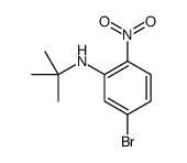 5-溴-N-叔丁基-2-硝基苯胺结构式