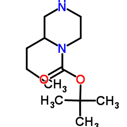 (R)-1-Boc-2-丙基哌嗪结构式