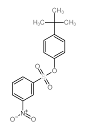 Benzenesulfonic acid,3-nitro-, 4-(1,1-dimethylethyl)phenyl ester Structure