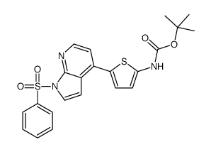2-Methyl-2-propanyl {5-[1-(phenylsulfonyl)-1H-pyrrolo[2,3-b]pyrid in-4-yl]-2-thienyl}carbamate Structure