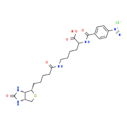 4-diazobenzoyl biocytin Structure