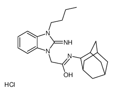 N-(2-adamantyl)-2-(3-butyl-2-iminobenzimidazol-1-yl)acetamide,hydrochloride Structure