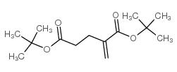 2-亚甲基戊二酸二叔丁酯结构式