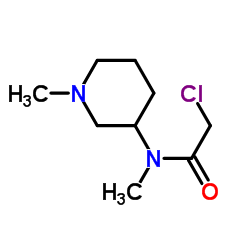 2-Chloro-N-methyl-N-(1-methyl-3-piperidinyl)acetamide结构式