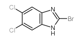 2-BROMO-5,6-DICHLOROBENZIMIDAZOLE structure