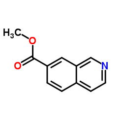 7-异喹啉甲酸甲酯图片