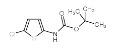 (5-氯-2-噻吩)氨基甲酸叔丁酯结构式